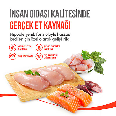 Wanpy Kedi Crunch Ödül Catnipli & Tavuklu 60g - 10'lu - 3