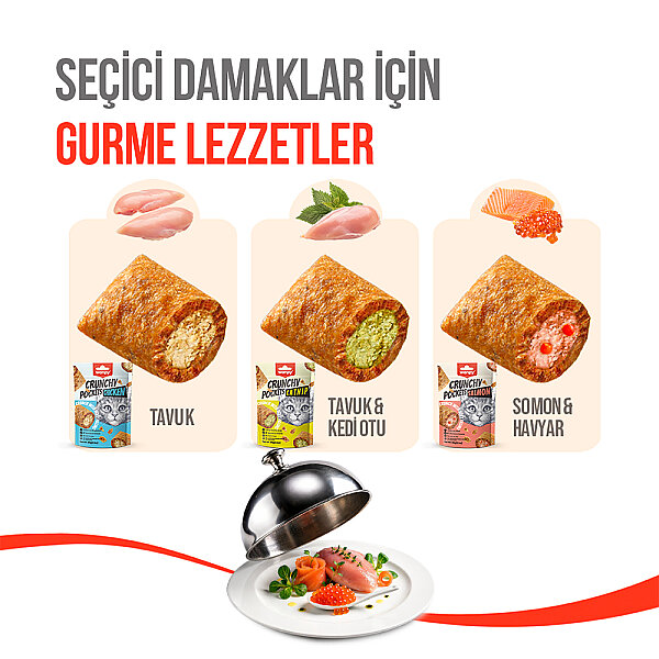 Wanpy Kedi Crunch Ödül Catnipli & Tavuklu 60g - 10'lu - 4