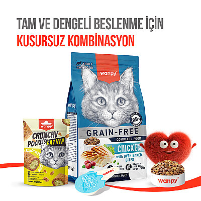 Wanpy Kedi Crunch Ödül Catnipli & Tavuklu 60g - 10'lu - 6