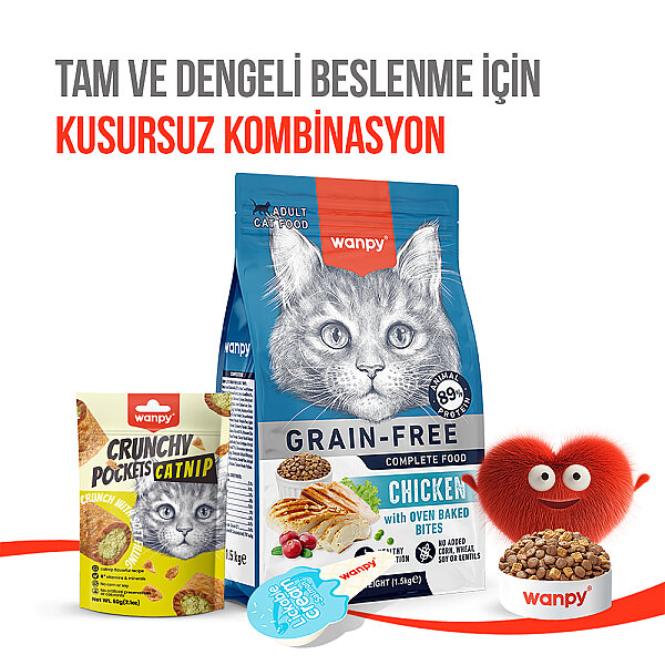 Wanpy Kedi Crunch Ödül Catnipli & Tavuklu 60g - 10'lu - 6