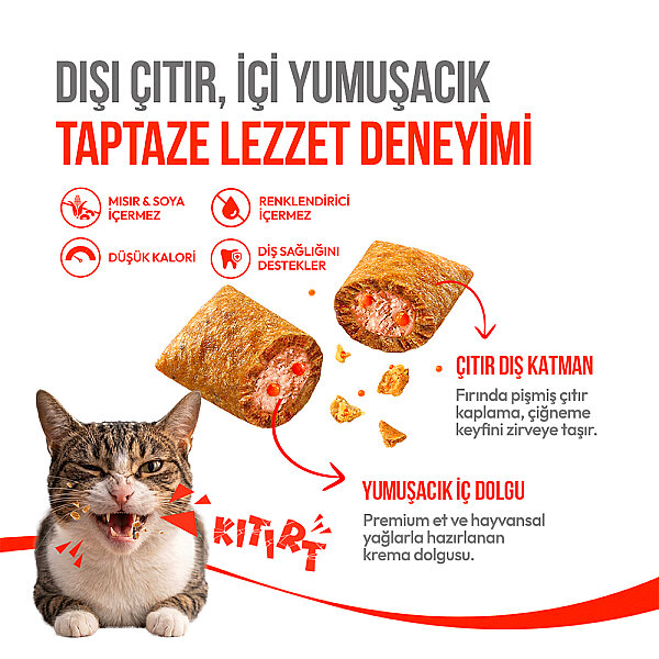 Wanpy Kedi Crunch Ödül Somon & Havyar 60g - 10'lu - 2
