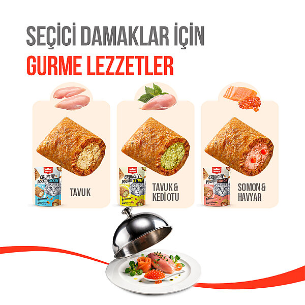 Wanpy Kedi Crunch Ödül Somon & Havyar 60g - 10'lu - 4