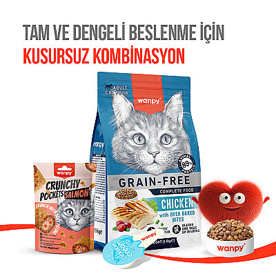 Wanpy Kedi Crunch Ödül Somon & Havyar 60g - 10'lu - 6