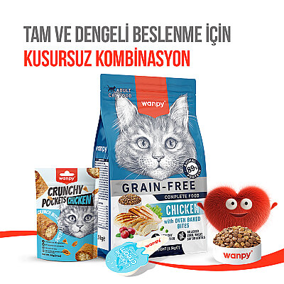 Wanpy Kedi Crunch Ödül Tavuk 60g - 10'lu - 6