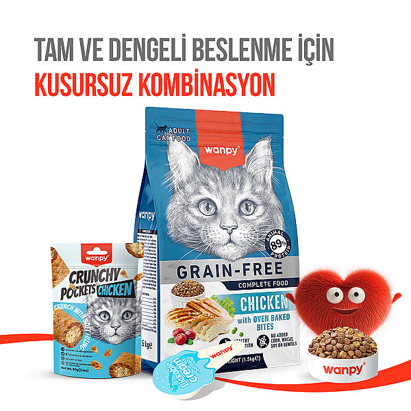 Wanpy Kedi Crunch Ödül Tavuk 60g - 10'lu - 6