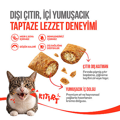 Wanpy Kedi Crunch Ödül Tavuk 60g - 10'lu - 3