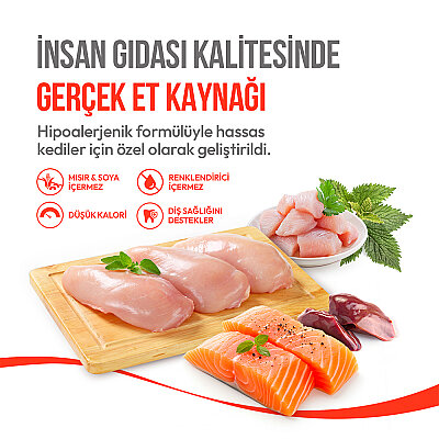 Wanpy Kedi Crunch Ödül Tavuk 60g - 10'lu - 4