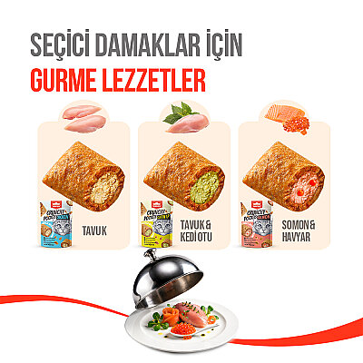 Wanpy Kedi Crunch Ödül Tavuk 60g - 10'lu - 2