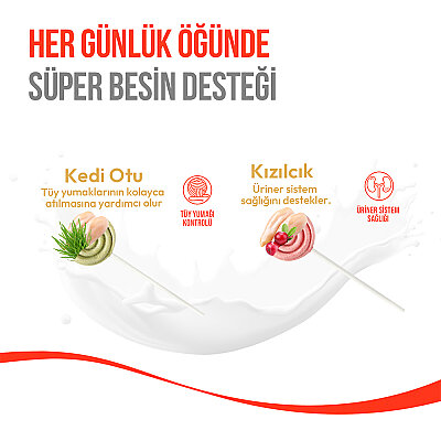 Wanpy Kediler İçin Dondurularak Kurutulmuş Lolipop - Kedi Otu - 1.4 g*10'lu - 5