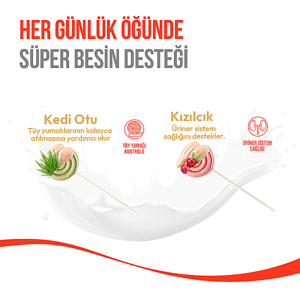 Wanpy Kediler İçin Dondurularak Kurutulmuş Lolipop - Kedi Otu - 1.4 g*10'lu - 5