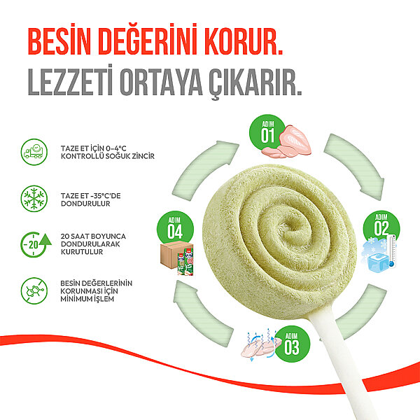 Wanpy Kediler İçin Dondurularak Kurutulmuş Lolipop - Kedi Otu - 1.4 g*10'lu - 3