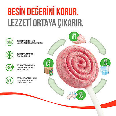 Wanpy Kediler İçin Dondurularak Kurutulmuş Lolipop - Kızılcık - 1.4 g*10'lu - 3