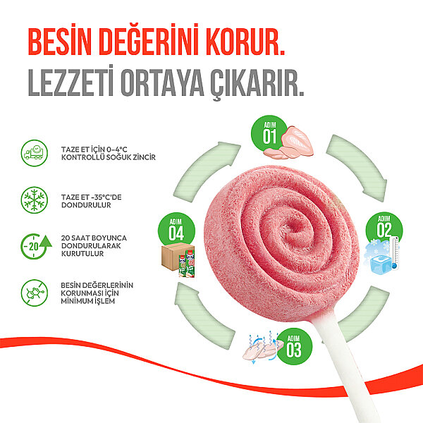 Wanpy Kediler İçin Dondurularak Kurutulmuş Lolipop - Kızılcık - 1.4 g*10'lu - 3