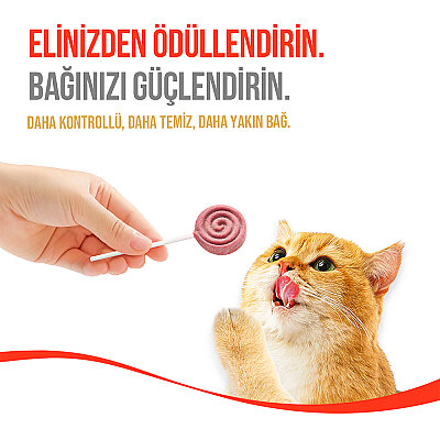 Wanpy Kediler İçin Dondurularak Kurutulmuş Lolipop - Kızılcık - 1.4 g*10'lu - 7