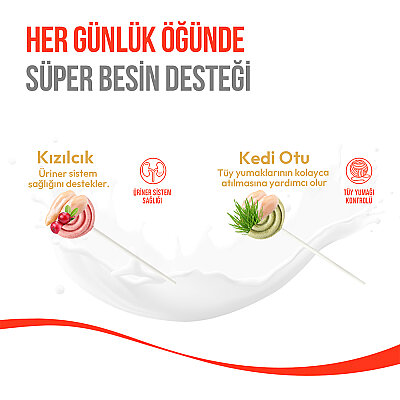 Wanpy Kediler İçin Dondurularak Kurutulmuş Lolipop - Kızılcık - 1.4 g*10'lu - 5