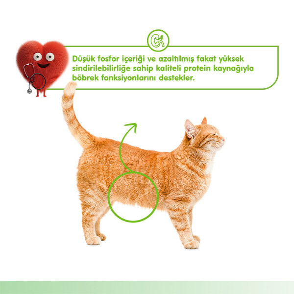 Wanpy Kidney Health Tavuk&Sebze 12'li-F.Krema Ödül 5x14gr - 4