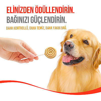 Wanpy Köpekler İçin Dondurularak Kurutulmuş Lolipop - Balkabaklı - 6 g*10'lu - 7