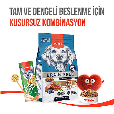 Wanpy Köpekler İçin Dondurularak Kurutulmuş Lolipop - Balkabaklı - 6 g*10'lu - 8