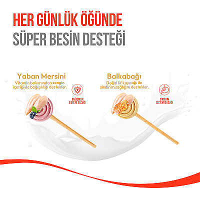 Wanpy Köpekler İçin Dondurularak Kurutulmuş Lolipop - Yaban Mersinli - 6 g*10'lu - 5