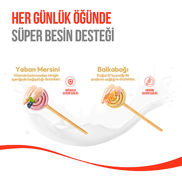 Wanpy Köpekler İçin Dondurularak Kurutulmuş Lolipop - Yaban Mersinli - 6 g*10'lu - 5
