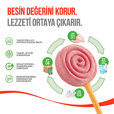Wanpy Köpekler İçin Dondurularak Kurutulmuş Lolipop - Yaban Mersinli - 6 g*10'lu - 3