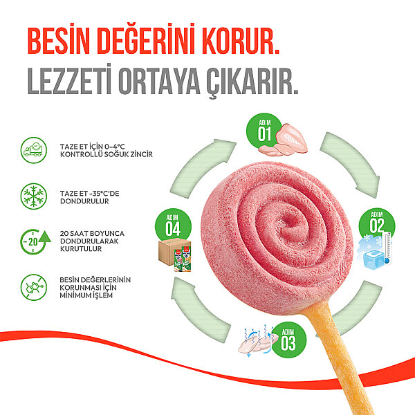 Wanpy Köpekler İçin Dondurularak Kurutulmuş Lolipop - Yaban Mersinli - 6 g*10'lu - 3