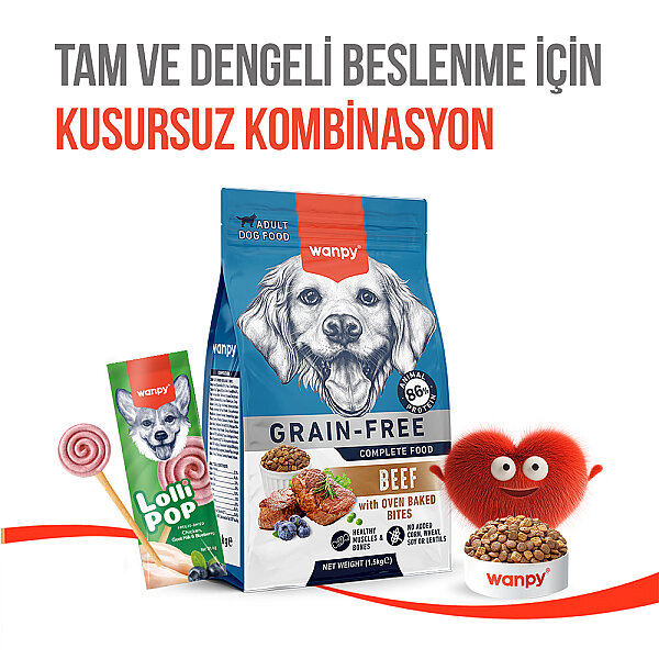 Wanpy Köpekler İçin Dondurularak Kurutulmuş Lolipop - Yaban Mersinli - 6 g*10'lu - 8