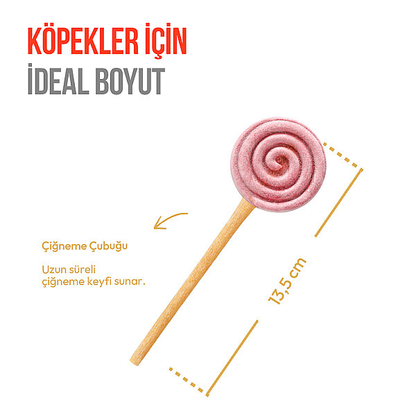 Wanpy Köpekler İçin Dondurularak Kurutulmuş Lolipop - Yaban Mersinli - 6 g*10'lu - 2