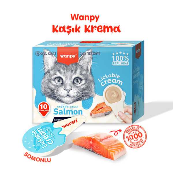 Wanpy Somonlu 10*16 gr Kaşıklı Kedi Ödül Kreması - 1