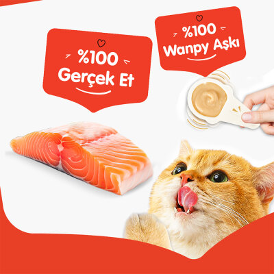 Wanpy Somonlu 10*16 gr Kaşıklı Kedi Ödül Kreması - 3