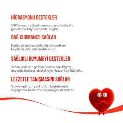 Wanpy Somonlu 12'li - Yavru Kedi Krema Ödülü 5x14 g - 4