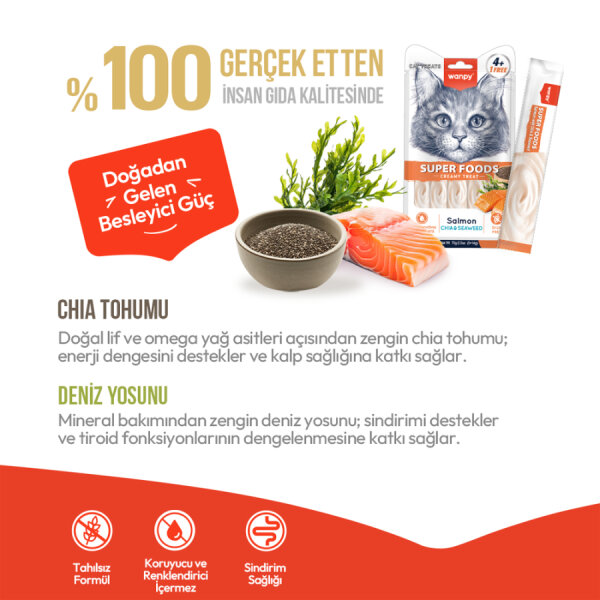Wanpy Superfood Somonlu, Chia & Deniz Yosunlu 12’li – Krema Kedi Ödülü 5×14 g - 3