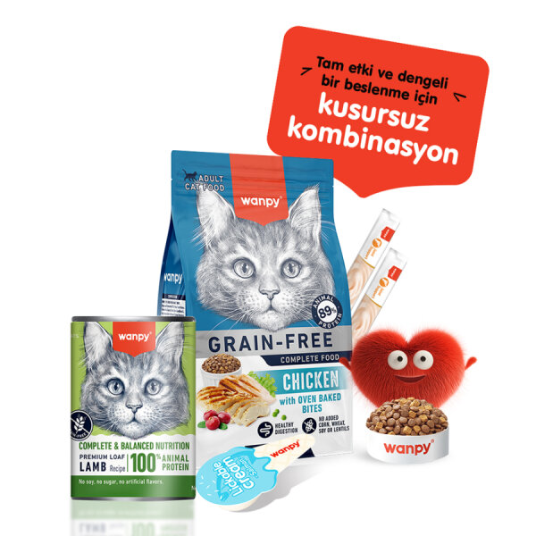 Wanpy Tahılsız Kedi %100 Gerçek Et 375 gr Kuzulu Konserve 12 Adet - 4