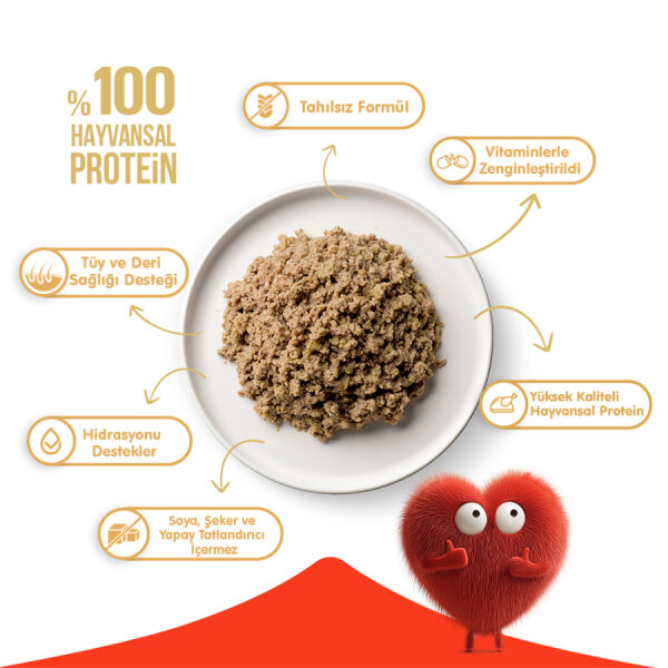 Wanpy Tahılsız Kedi %100 Gerçek Et 375 gr Ton Balıklı Konserve 12 Adet - 3