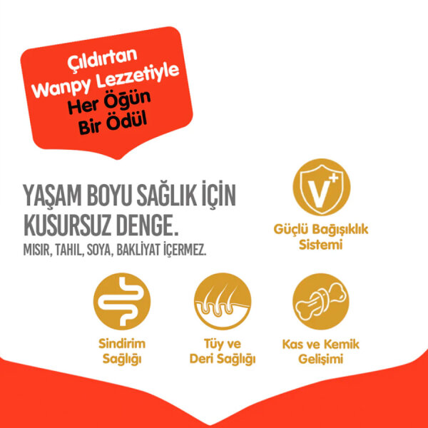 Wanpy Tahılsız Kuzulu Yetişkin Köpek Maması 1,5 kg - 4