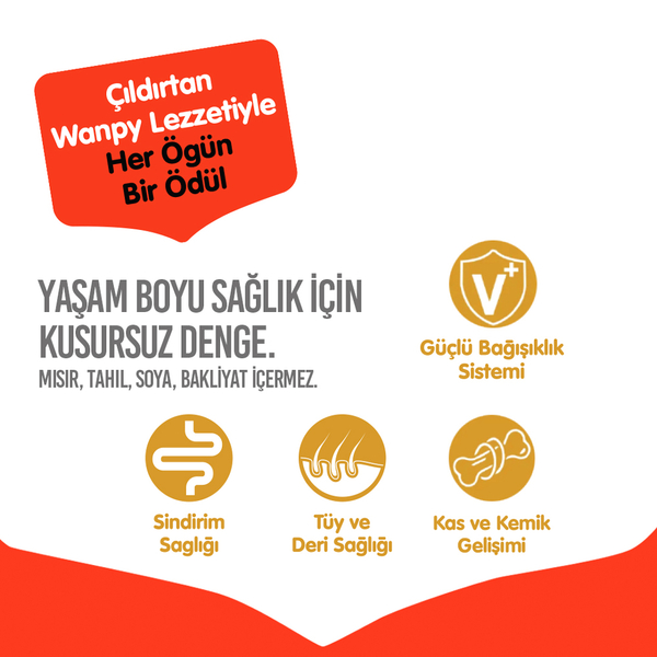 Wanpy Tahılsız Ördekli Yetişkin Köpek Maması 1,5 kg - 3