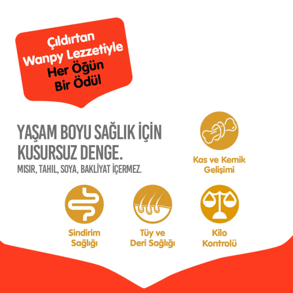 Wanpy Tahılsız Sığır Etli Yetişkin Köpek Maması 12 kg - 4