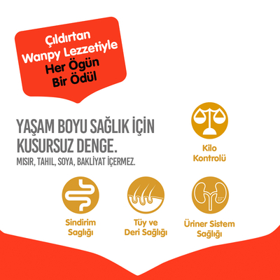 Wanpy Tahılsız Somonlu Yetişkin Kedi Maması 1,5 kg - 3