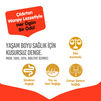 Wanpy Tahılsız Somonlu Yetişkin Kedi Maması 8 kg - 4