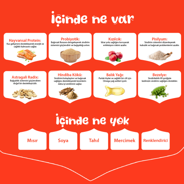 Wanpy Tahılsız Somonlu Yetişkin Kedi Maması 8 kg - 5