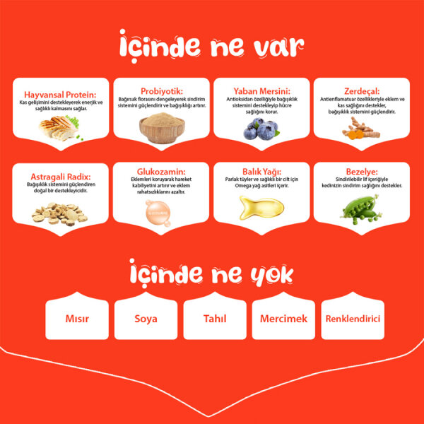 Wanpy Tahılsız Somonlu Yetişkin Köpek Maması 1,5 kg - 3