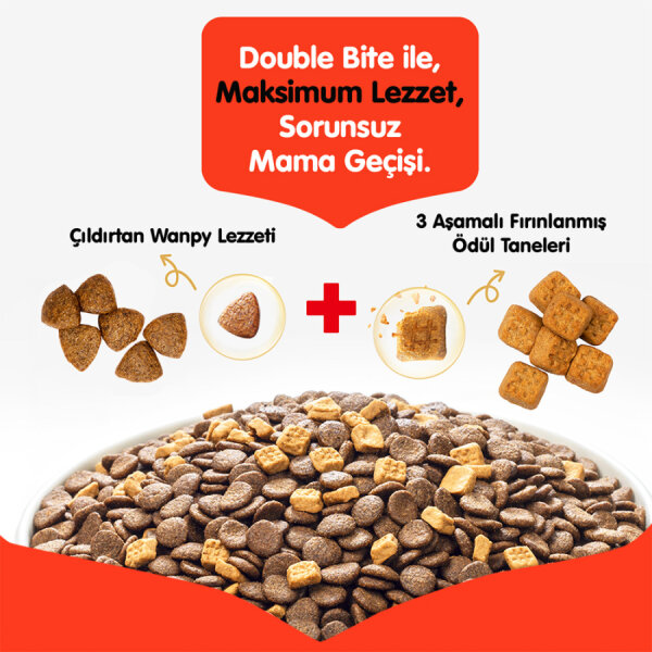 Wanpy Tahılsız Somonlu Yetişkin Köpek Maması 1,5 kg - 6