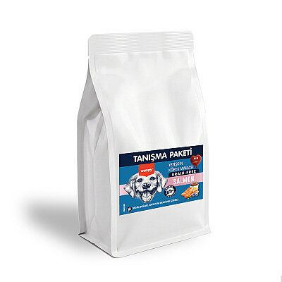 Wanpy Tahılsız Somonlu Yetişkin Köpek Maması 500 gr - 24 Adet - 2