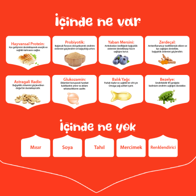 Wanpy Tahılsız Tavuklu Yetişkin Köpek Maması 12 kg - 5