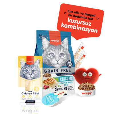 Wanpy Tavuk Fileto 25g Kedi Ödülü - 4