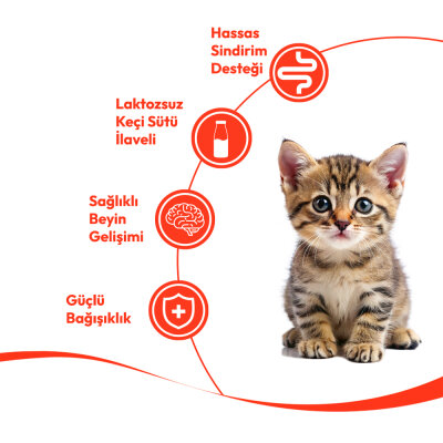 Wanpy Tavuklu & Morinalı 12’li – Yavru Kedi Krema Ödülü 5×14 g - 3