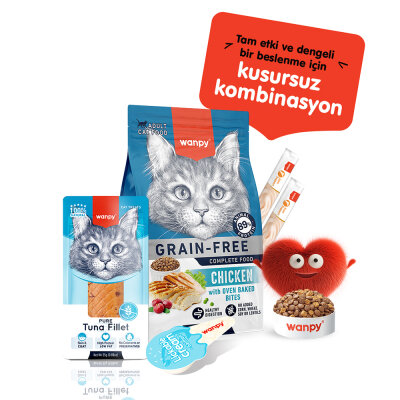 Wanpy Ton Balığı Fileto 25g Kedi Ödülü - 4