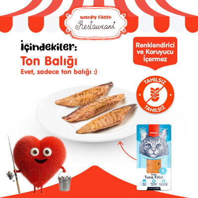 Wanpy Ton Balığı Fileto 25g Kedi Ödülü - 2