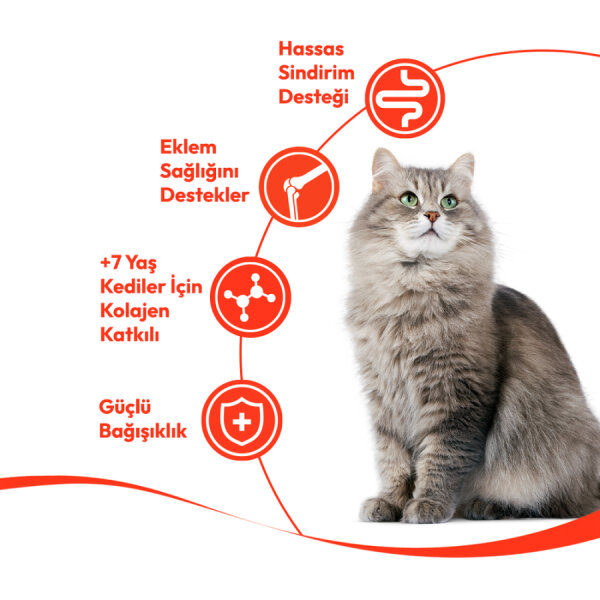 Wanpy Ton Balıklı 12’li – 7+ Yaş Kedi Krema Ödülü 5×14 g - 3