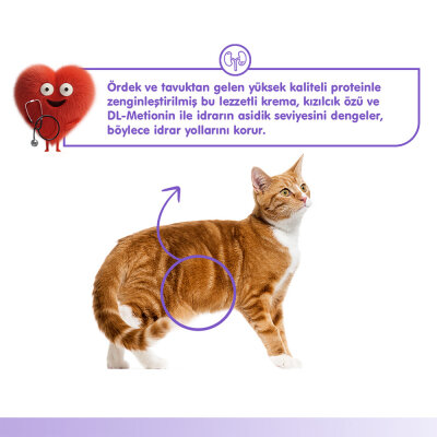 Wanpy Urinary Care Ördek&Tavuk 12'li-F.Krema Ödül 5x14gr - 4